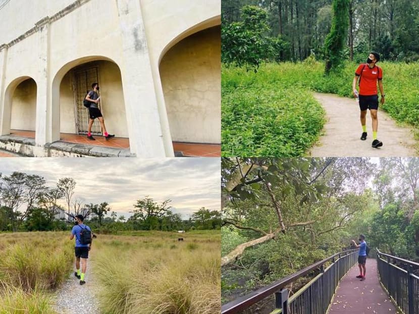 Discovering Singapore on foot: Highlights of a 5-day walk around the island Discovering Singapore on foot: Highlights of a 5-day walk around the island
