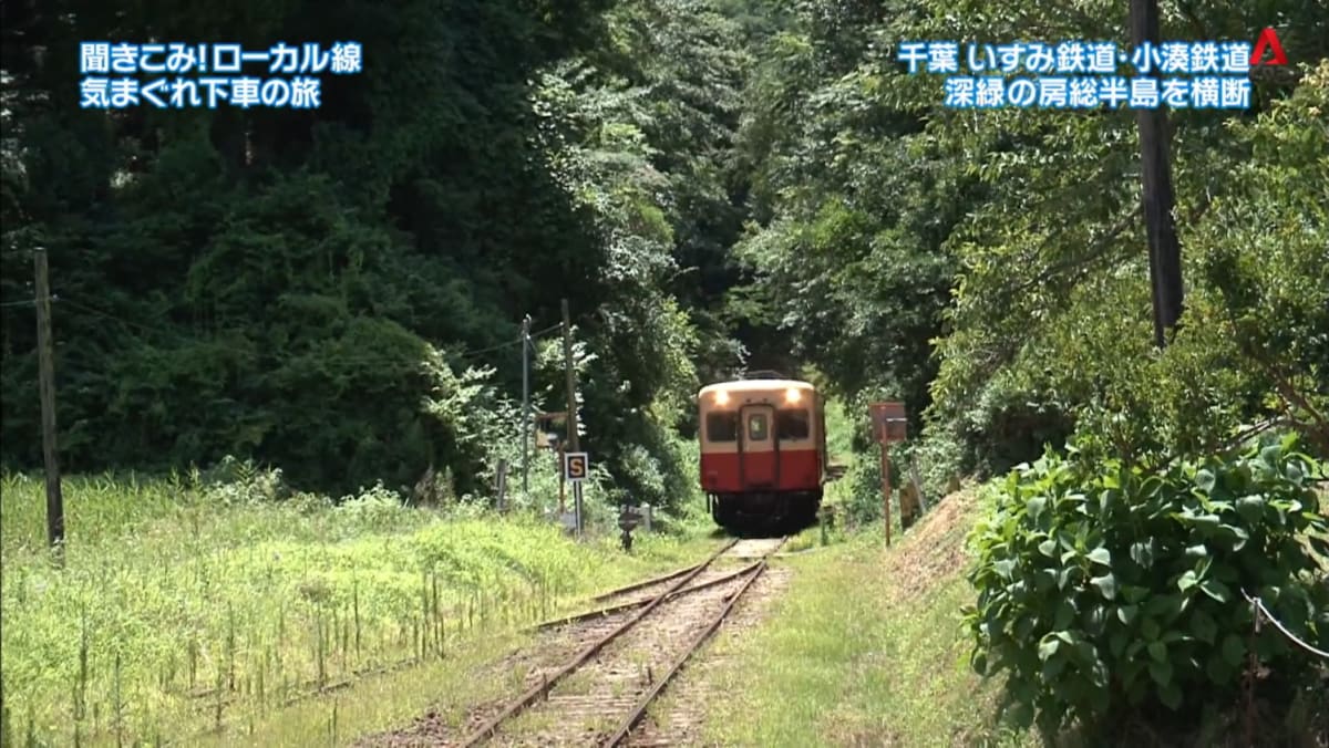Perjalanan Darat di Kereta Isumi dan Kereta Kominato – Bagian 2
