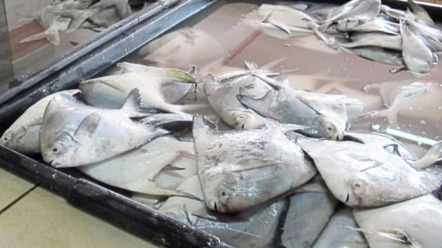 马国深海拖网渔船减少出海 或影响农历新年海产供应