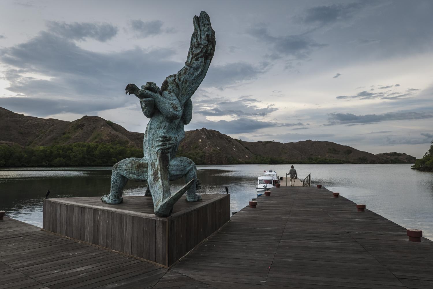 How much would you pay to see the famed komodo dragons? - TODAY