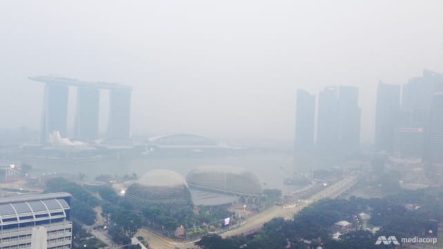 Singapore coordinating action plans amid higher haze risk