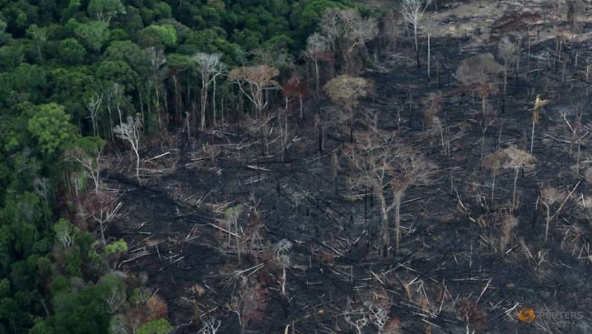 Deforestation in Brazil's Amazon two-thirds lower on titled indigenous land