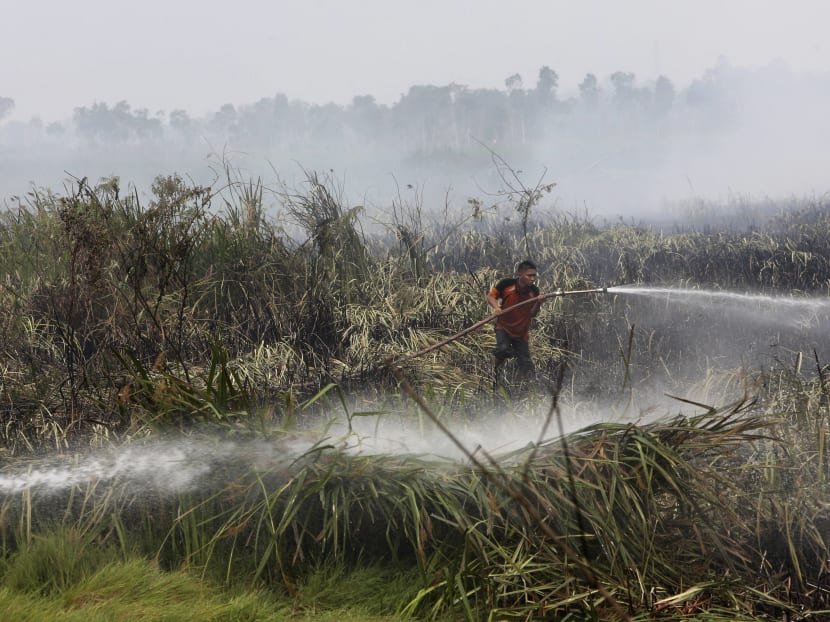 File photo a fireman spraying water to extinguish forest fire at a peatland field in Ogan Ilir, South Sumatra, Indonesia, Sept 17, 2015. Photo: AP
