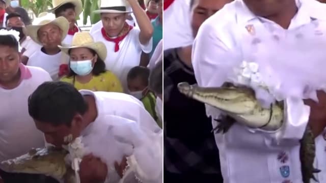 迎娶“鳄鱼新娘” 墨西哥镇长为小镇祈求丰收