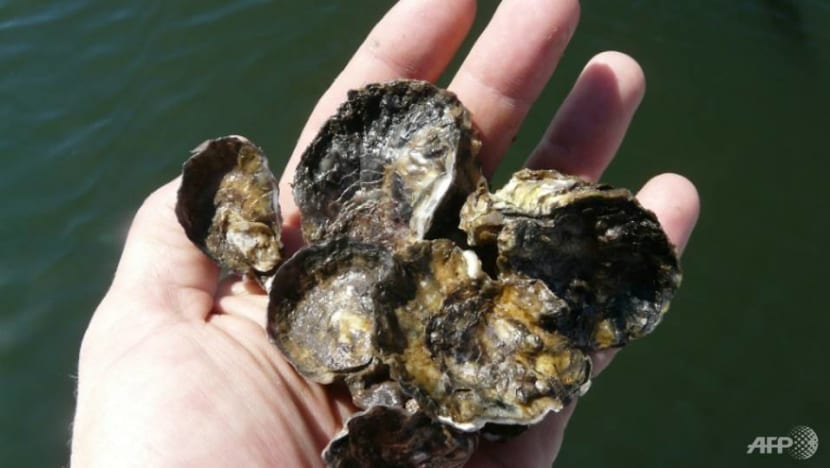 Commentary: The ocean is changing – it’s getting more acidic Commentary: The ocean is changing – it’s getting more acidic