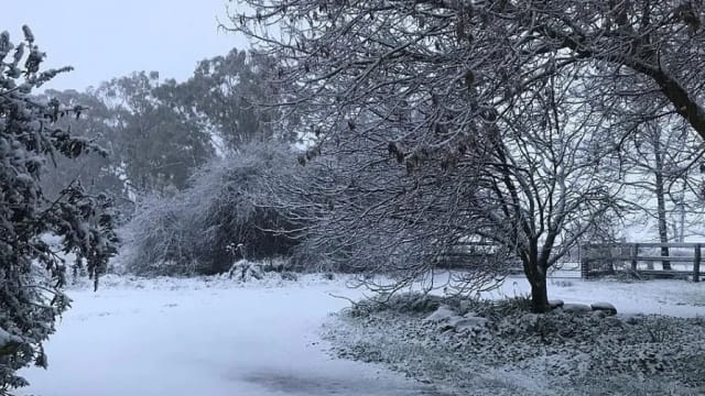 南极冷锋来袭 澳大利亚东南部罕见降雪