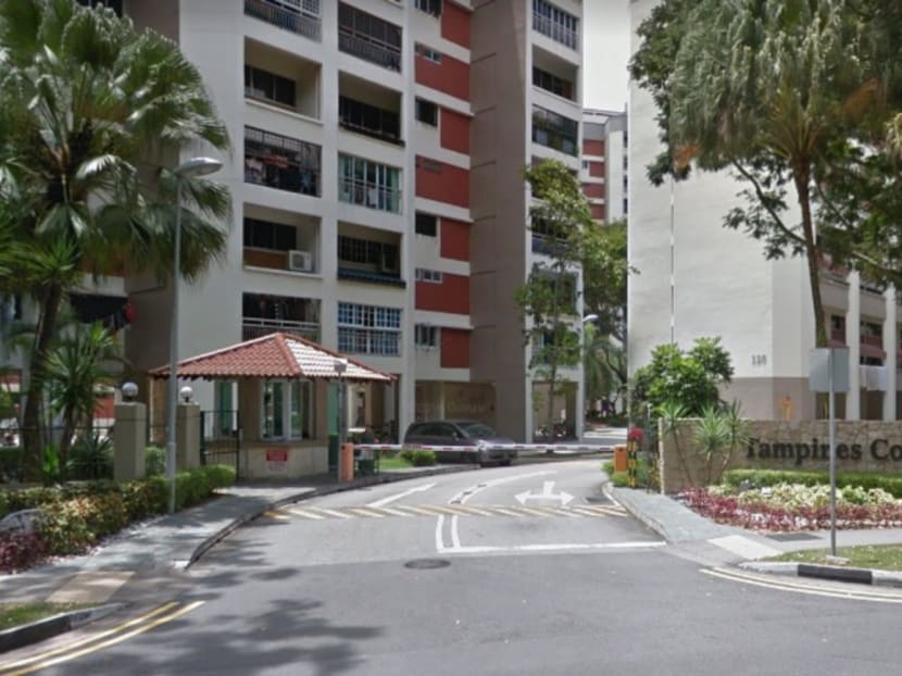 Located at Tampines Street 11, the plot of land, at 702,164 square feet, is able to yield 2,500 units with each unit an average 900 sqf, according to real estate company Huttons Asia. Photo: Google Maps