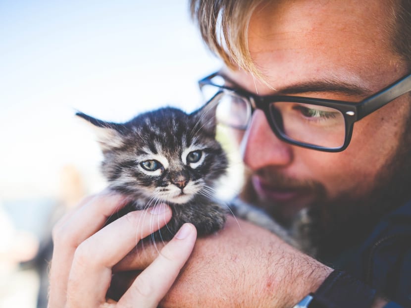 What happens when guys add their cats to their dating app profiles? What happens when guys add their cats to their dating app profiles?