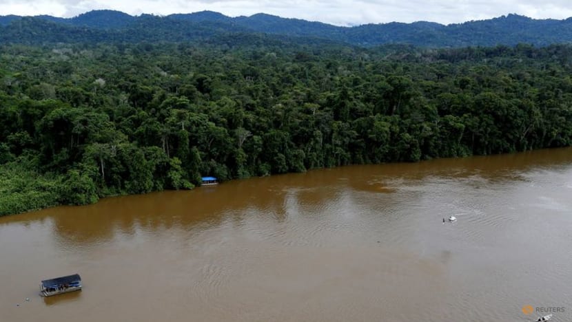 Nearly 30% of Brazil's gold exports are illegal, report says Nearly 30% of Brazil's gold exports are illegal, report says