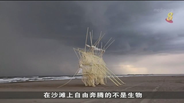塑料管打造海滩仿生兽 能随风自行走动