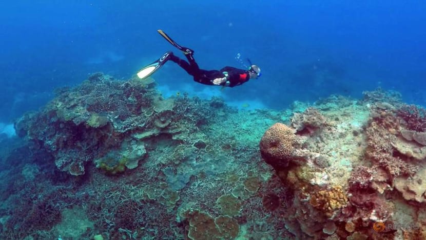 New Aussie law aims to help save Great Barrier Reef New Aussie law aims to help save Great Barrier Reef