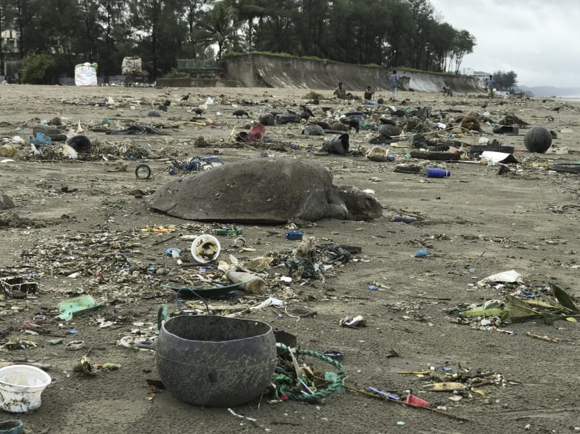 A dead sea turtle is seen on a beach in Cox's Bazar on July 12, 2020. About 160 sea turtles, many of them injured after getting entangled in plastic waste, have been rescued after washing up on one of the world's longest beaches in Bangladesh, an official and conservationists said on July 15.
