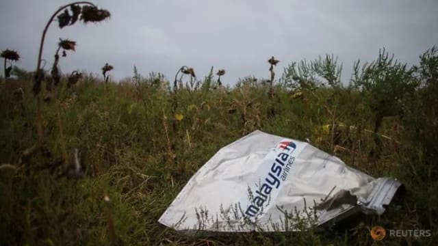 澳荷针对MH17客机被击落一事 向俄罗斯采取法律行动
