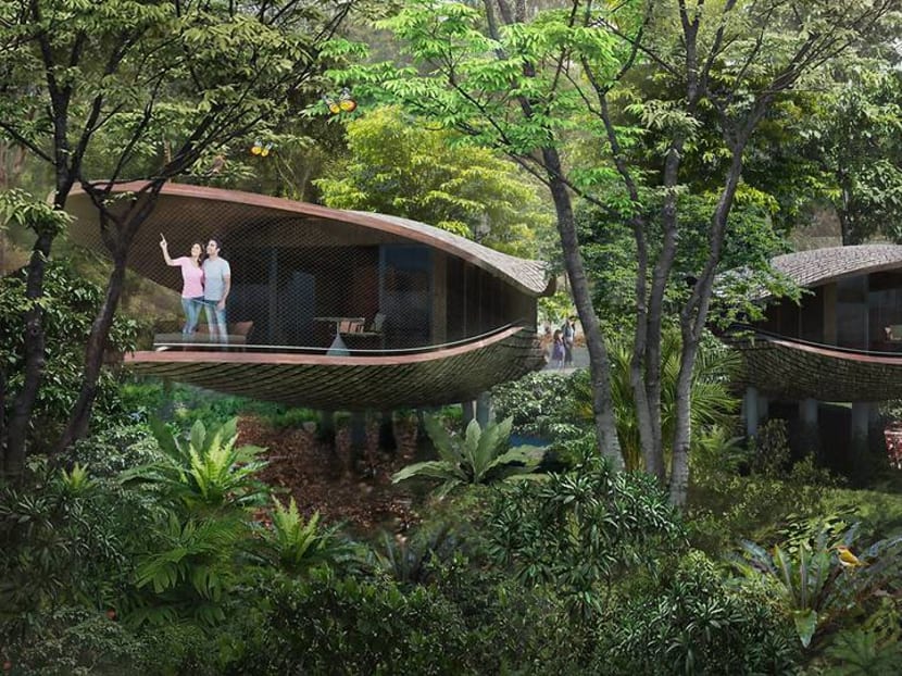Rooms in new Mandai resort to include pod-shaped treehouses Rooms in new Mandai resort to include pod-shaped treehouses