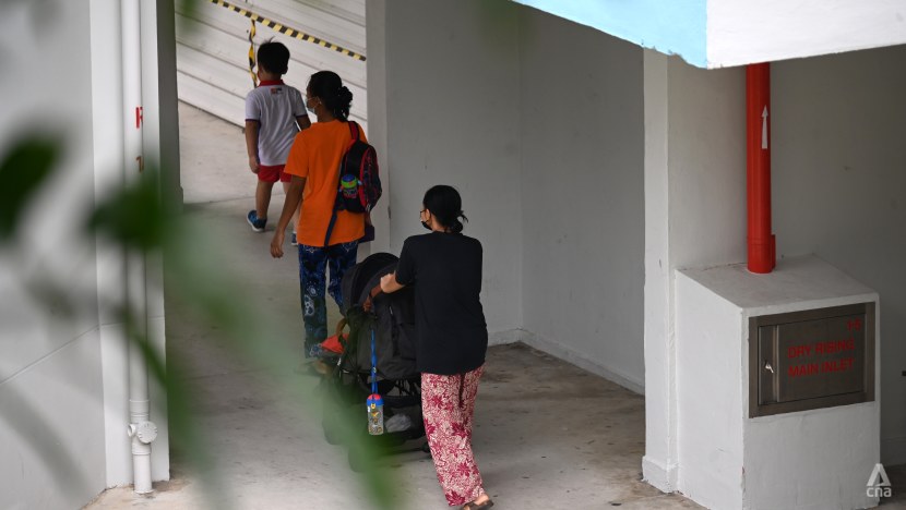 Commentary: After COVID-19 labour crunch, do maids have more bargaining power? Commentary: After COVID-19 labour crunch, do maids have more bargaining power?