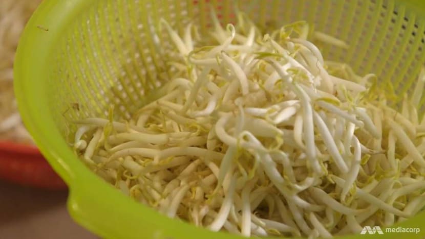 As beansprout prices shoot up in Singapore, will they go missing from our favourite dishes?