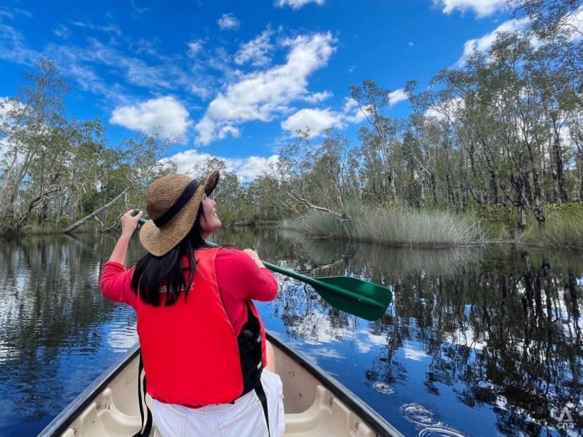 I sniffed a koala and I liked it: Rainforests, rivers and rainbows in Queensland, Australia