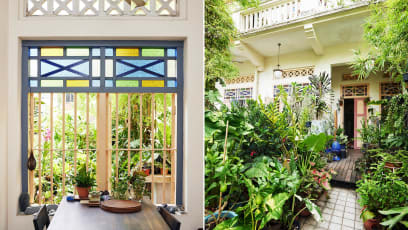 With Over 300 Plants At Home, This Plant Enthusiast Transformed His Shophouse Into A Lush Mini Jungle