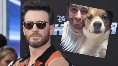 Chris Evans Says Adopting Dog Dodger The "Best Decision" Of His Life, Urges People To Rescue Older Pups