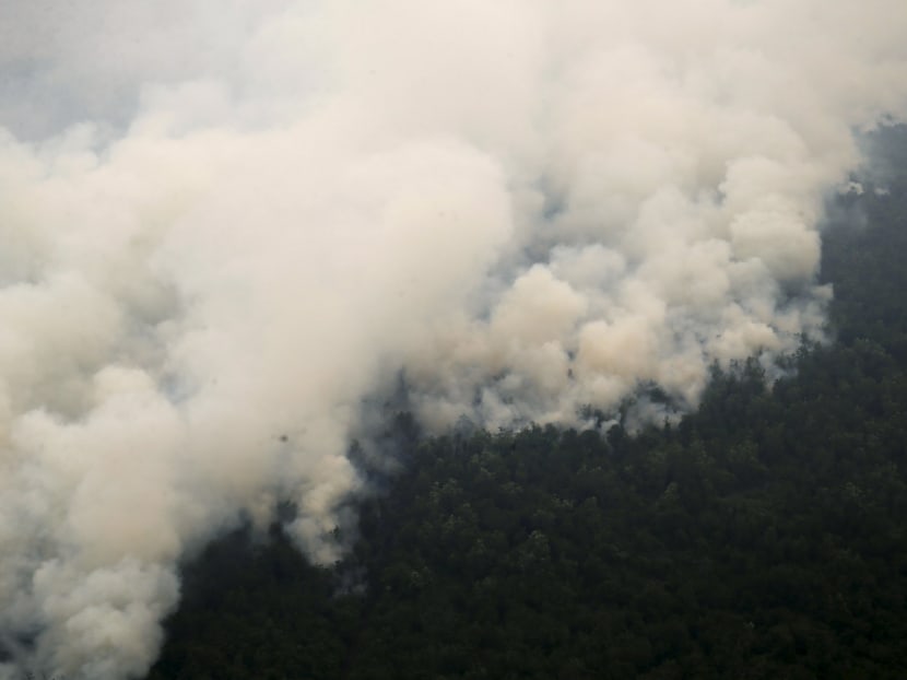 Indonesia's hazy skies worsen as forest burning continues
