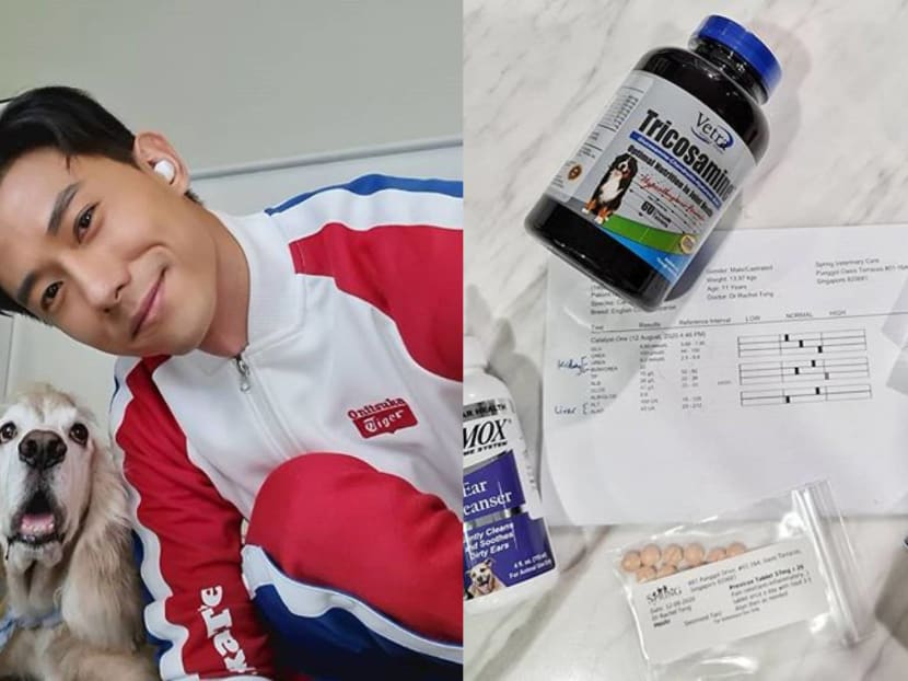 Desmond Tan’s Heart "Broke Into Million Pieces" When He Saw His Dog Struggling And Whining In Pain From Arthritis Desmond Tan’s Heart "Broke Into Million Pieces" When He Saw His Dog Struggling And Whining In Pain From Arthritis