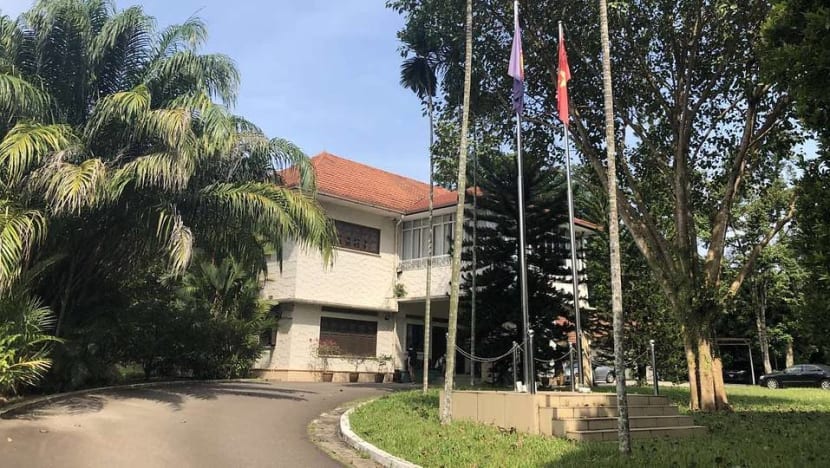 Vice activities by some Vietnamese in Singapore not representative of residents here: Embassy official
