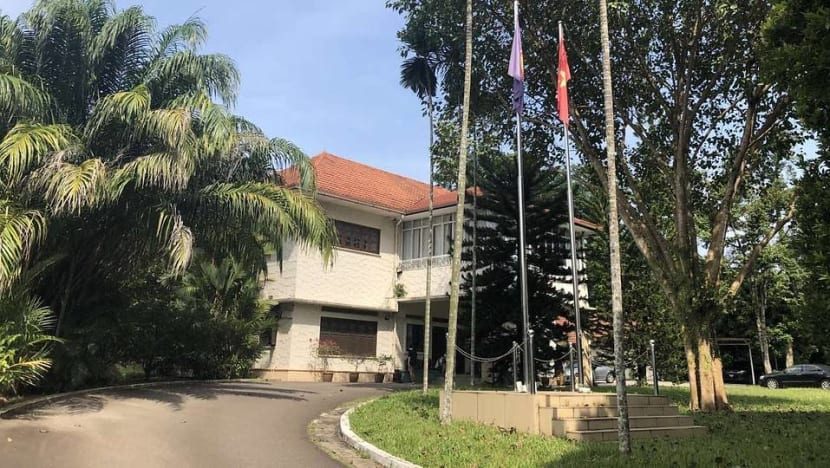 Vice activities by some Vietnamese in Singapore not representative of residents here: Embassy official Vice activities by some Vietnamese in Singapore not representative of residents here: Embassy official