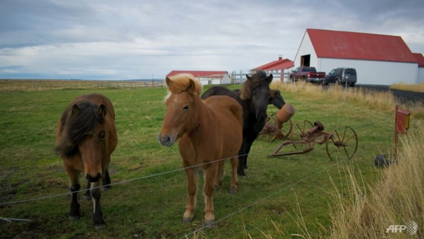 Turning carbon dioxide into stone: Inside Iceland’s innovative push toward sustainability Turning carbon dioxide into stone: Inside Iceland’s innovative push toward sustainability