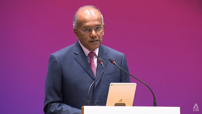 Shanmugam seeks court order requiring TikTok to name users who posted 'false, baseless' claims of extramarital affair