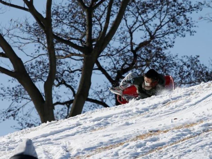 Can't go to ski resort? South Koreans rush to buy sledges, enjoy sledding near home Can't go to ski resort? South Koreans rush to buy sledges, enjoy sledding near home
