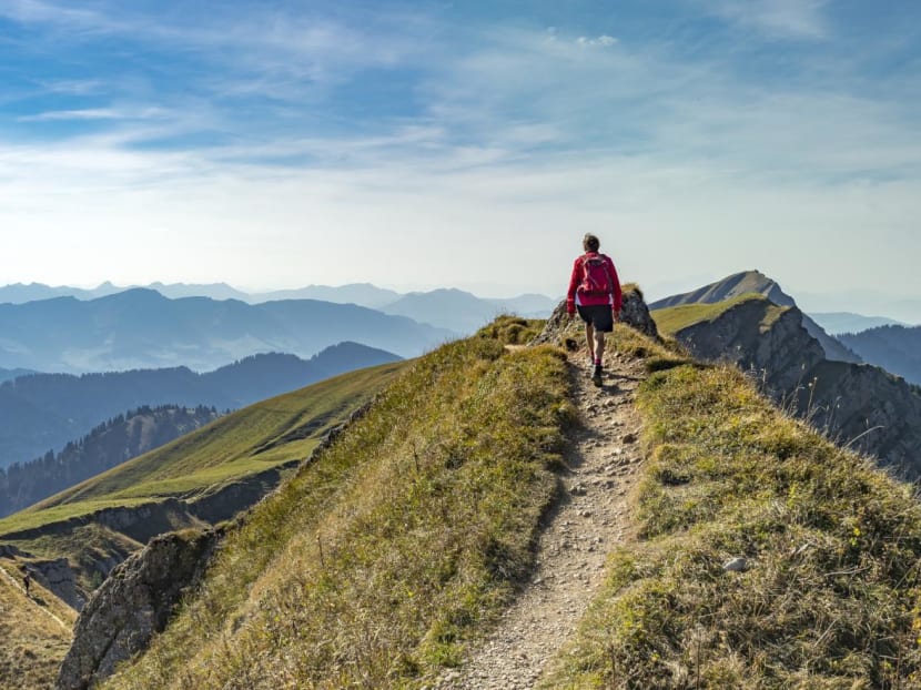 Did the tourist slowdown during the pandemic really help human-disturbed habitats heal? Did the tourist slowdown during the pandemic really help human-disturbed habitats heal?