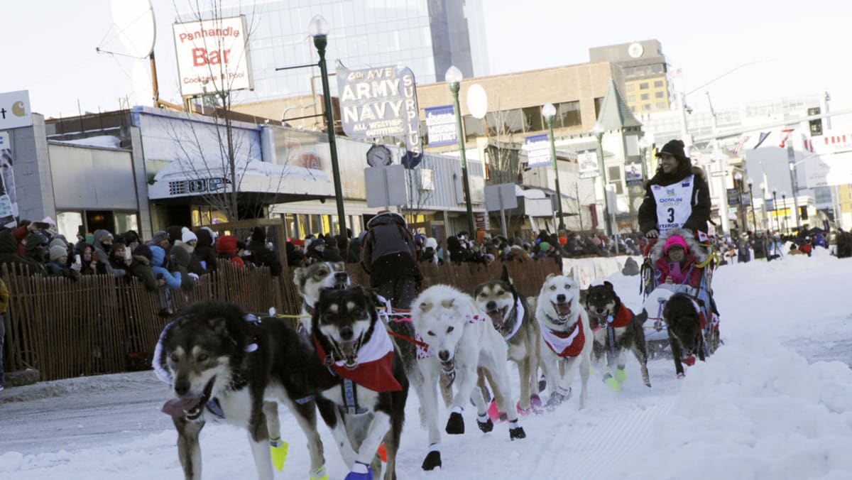 PETA calls for end to race after dogs die on 160km Iditarod in Alaska CNA PETA calls for end to race after dogs die on 160km Iditarod in Alaska CNA