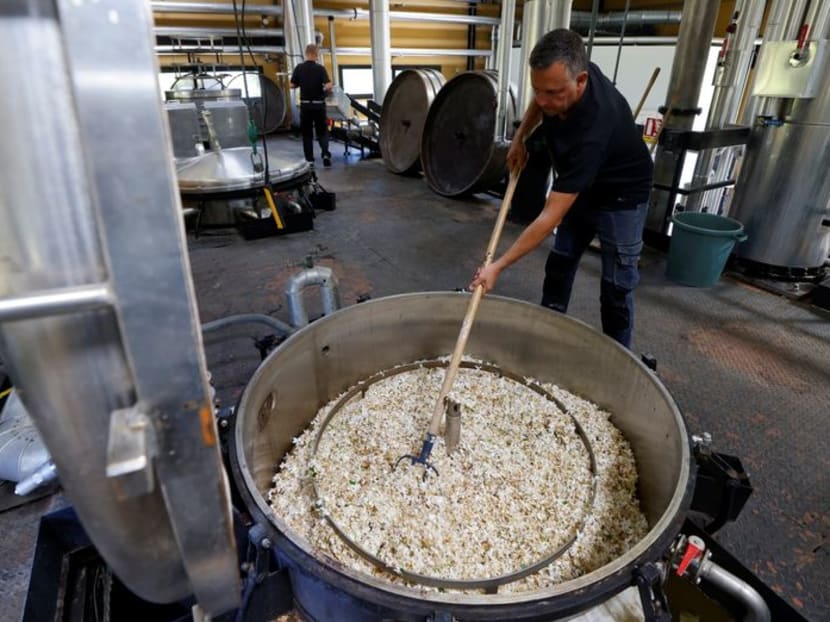 Chanel buys up more jasmine fields to safeguard famous No. 5 Chanel buys up more jasmine fields to safeguard famous No. 5