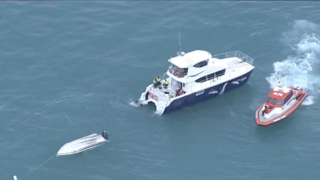 新西兰船只撞上鲸鱼后翻覆 造成五人丧命