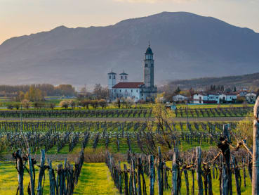 Not your usual European adventure: Paragliding in Slovenia’s Vipava valley on a ‘hike-fly-wine’ tour