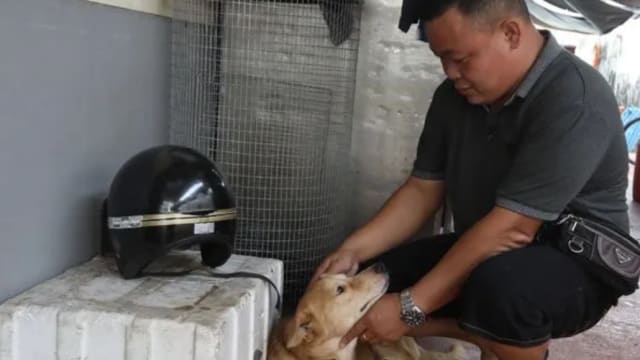 “小狗被吃了”只是气话 马国男：狗狗还好好的