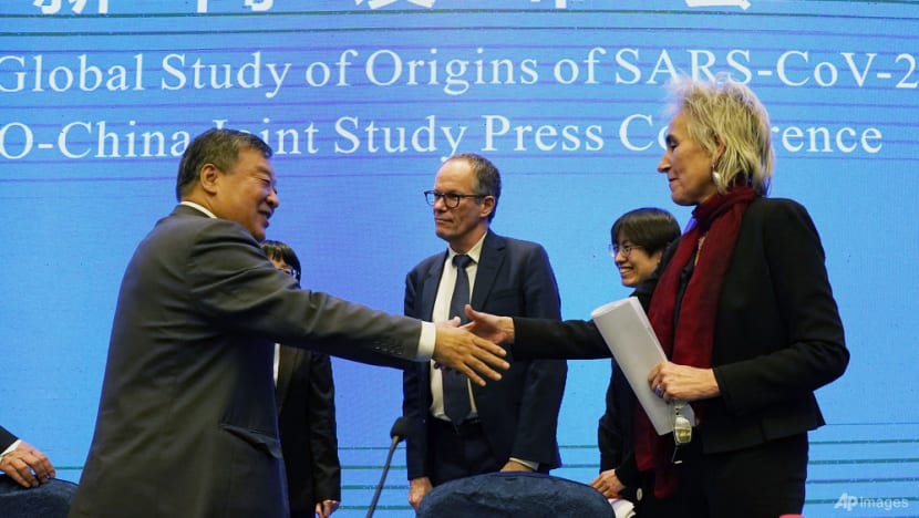 China calls COVID-19 'lab leak' theory a lie after WHO report China calls COVID-19 'lab leak' theory a lie after WHO report