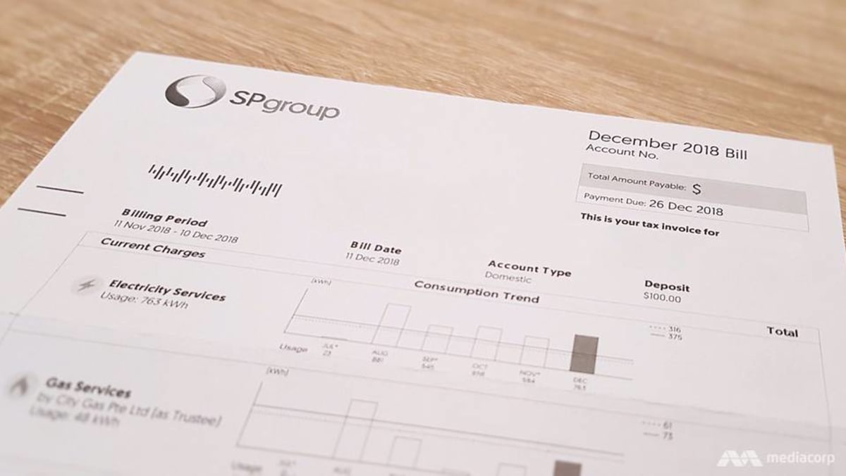 How do electricity retailers charge lower prices than SP Group? 5