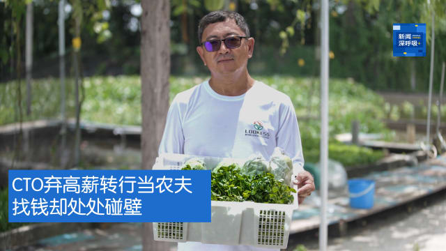 新闻深呼吸+ | 转换： CTO弃高薪转行当农夫 找钱却处处碰壁