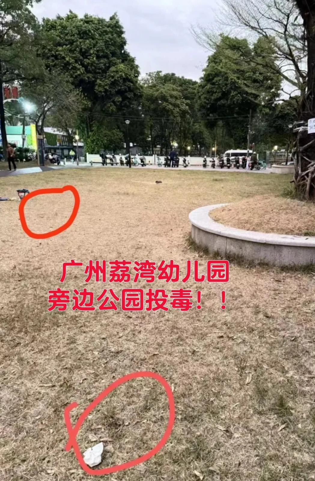 liwan_grass_patch.jpg