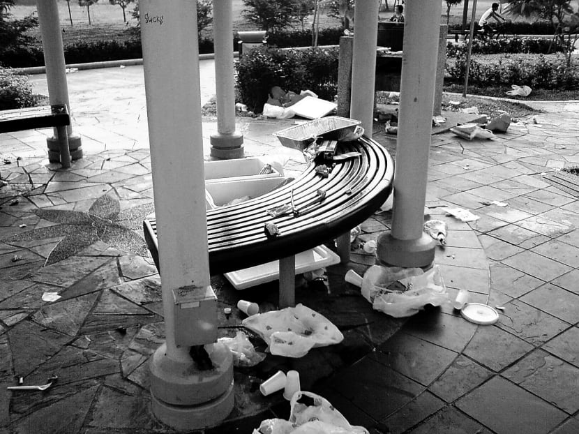 Singapore’s decades-long Clean & Green campaign and penalties of up to S$5,000 seem to have increasingly less effect in reducing litter in the public spaces. TODAY FILE PHOTO
