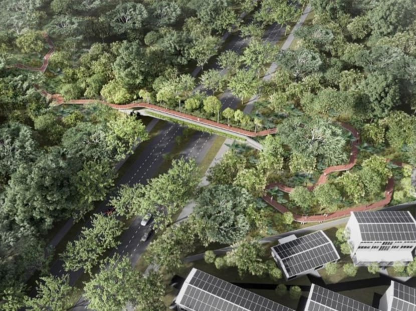 Artist’s impression of the future eco-pedestrian bridge connecting  Bukit Batok Nature Park and Bukit Timah Nature Reserve via the Rail Corridor 