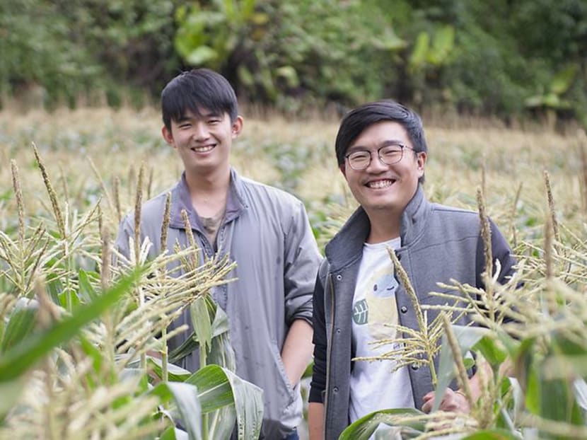 The Cameron Highlands farmers supplying ethical, organic produce to Singapore