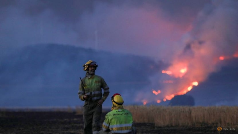Wildfires: Europe's latest economic headache Wildfires: Europe's latest economic headache