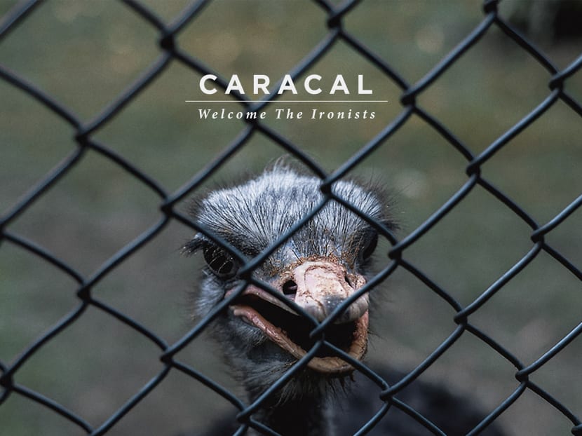 Album review: Welcome The Ironists (Caracal)