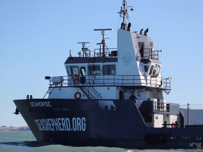 2023 10 03t222156z 1 lynxmpej920w2 rtroptp 3 mexico environment vaquita