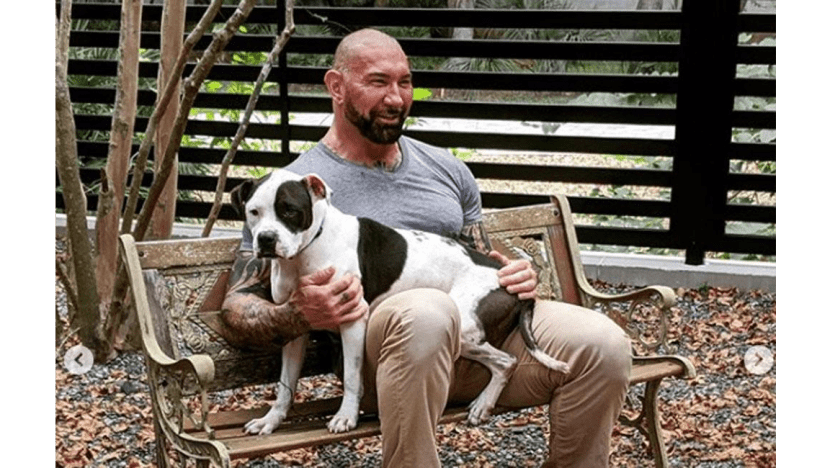 Dave Bautista adopts two abandoned pitbulls