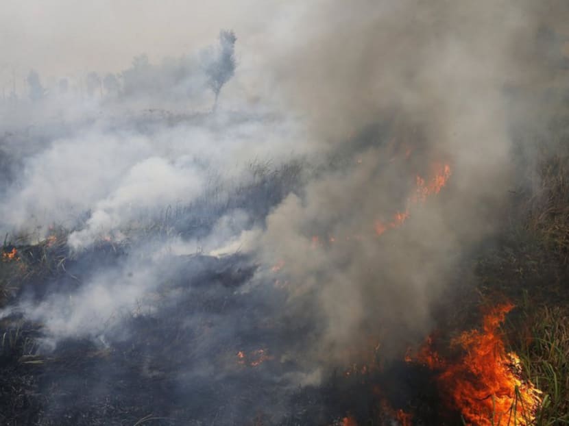 Getting the facts right on Indonesia’s haze problems Getting the facts right on Indonesia’s haze problems