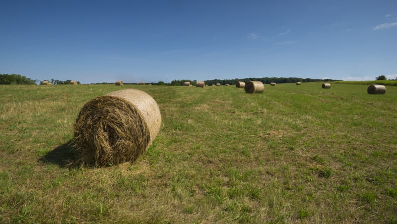 晨光|着眼天下：乌克兰农产品倾销 欧洲农民陷困境