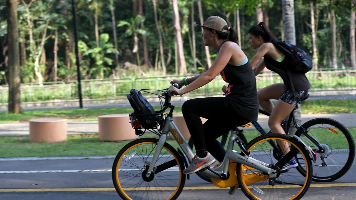 bicycle sharing bike